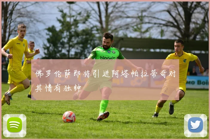 佛罗伦萨即将引进阿塔帕拉蒂奇对其情有独钟