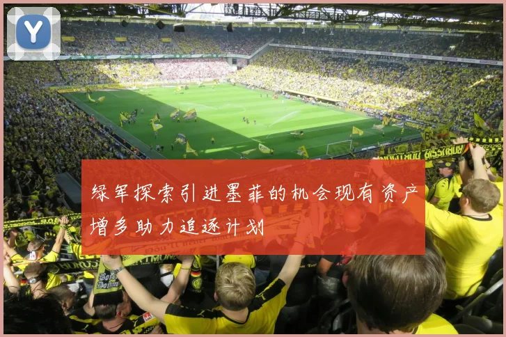 绿军探索引进墨菲的机会现有资产增多助力追逐计划