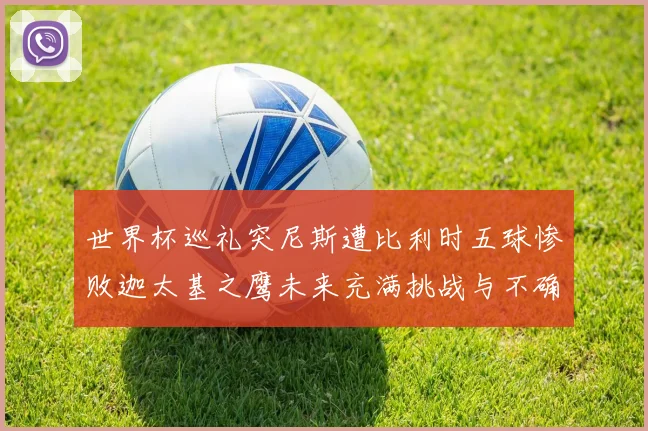 世界杯巡礼突尼斯遭比利时五球惨败迦太基之鹰未来充满挑战与不确定性