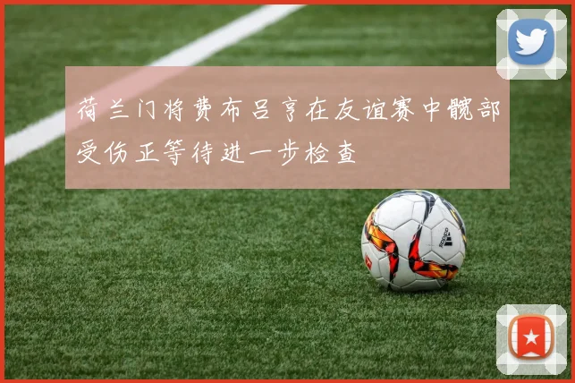 荷兰门将费布吕亨在友谊赛中髋部受伤正等待进一步检查