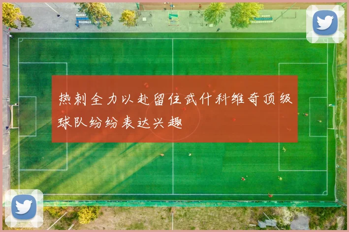 热刺全力以赴留住武什科维奇顶级球队纷纷表达兴趣